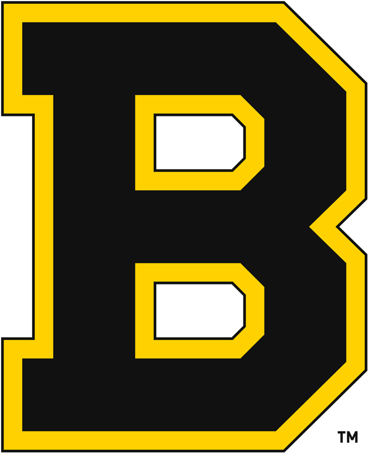 Boston Bruins 1934-1949 Primary Logo DIY iron on transfer (heat transfer)